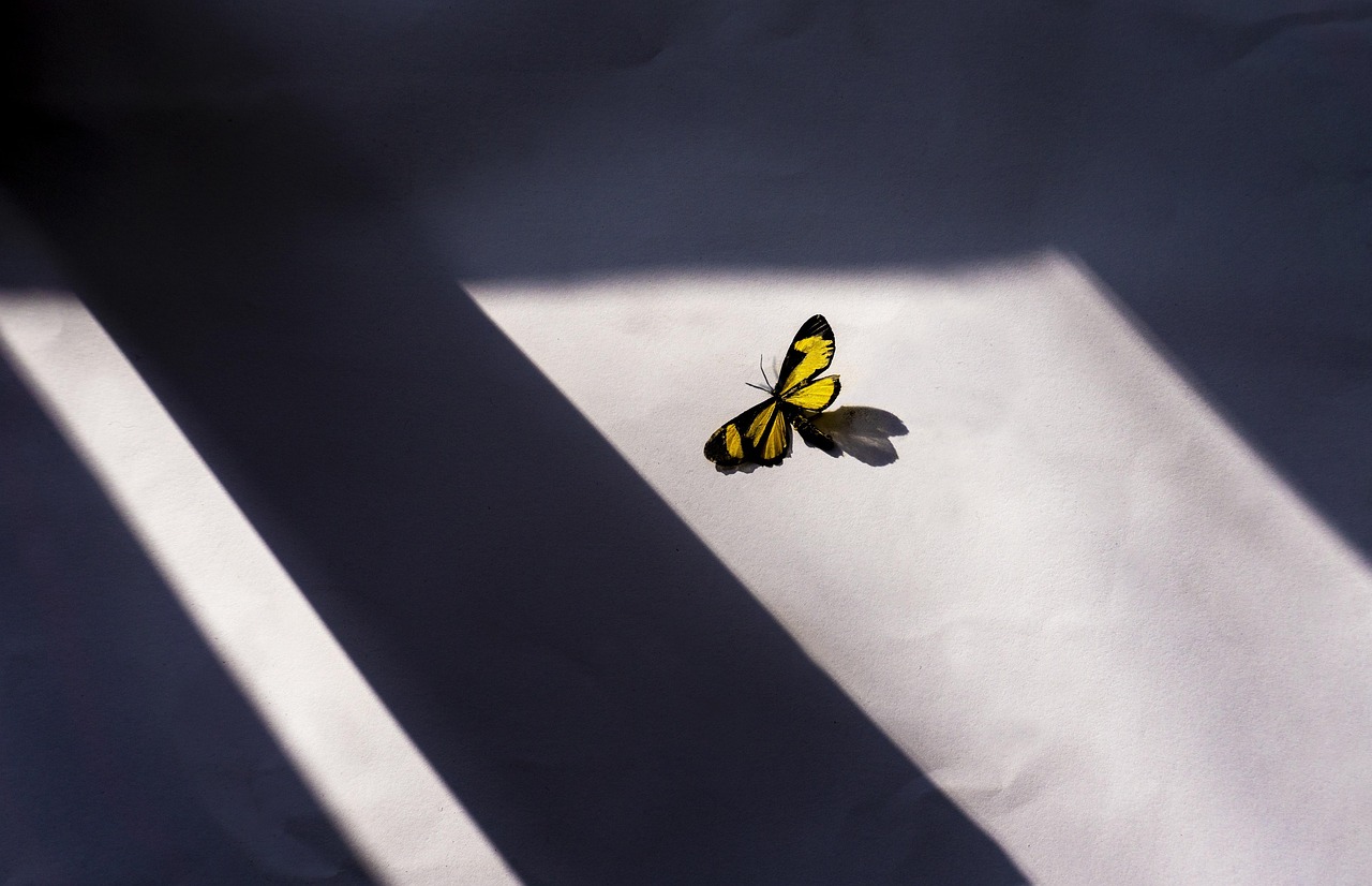 Shadows & Light by Maria Garcia